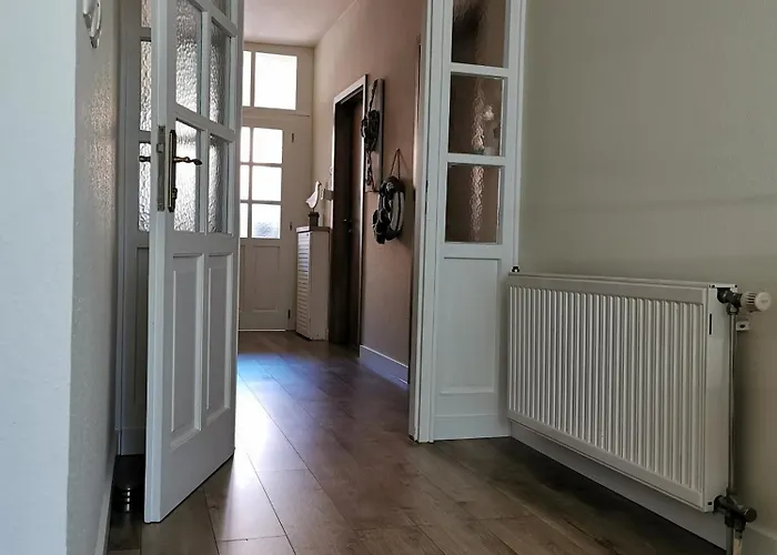 Kovács *